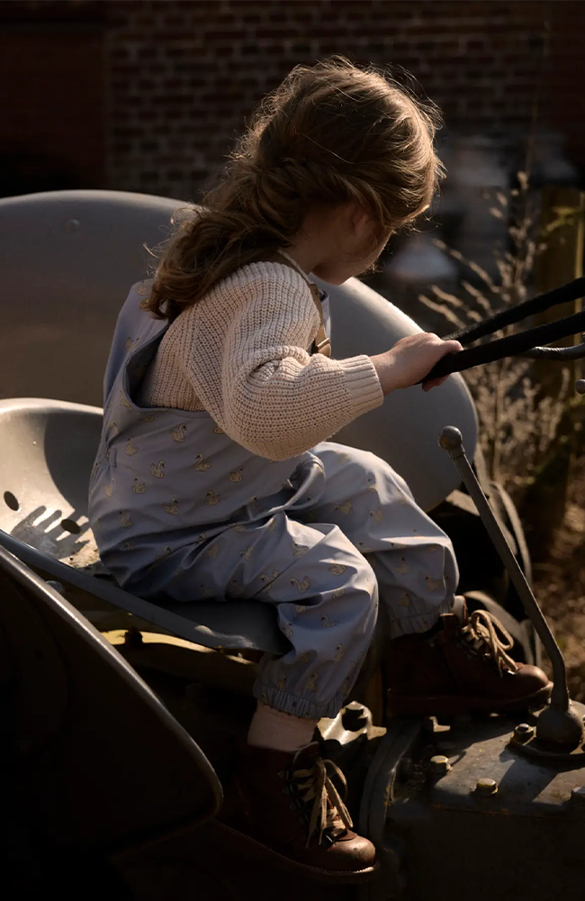 Ladry Rain Set - Zen Blue Swan