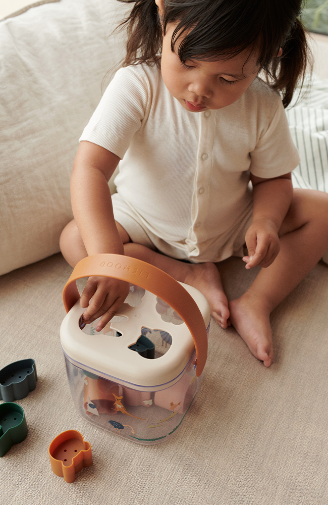 Lucinda Puzzle Box - All together/Sandy