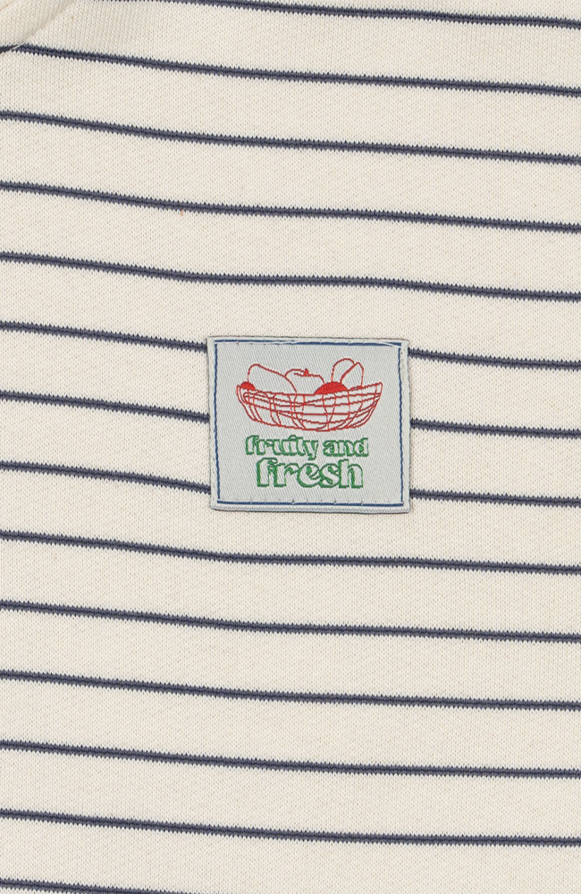 Lou Half Zip Sweatshirt - Flintstone Stripe