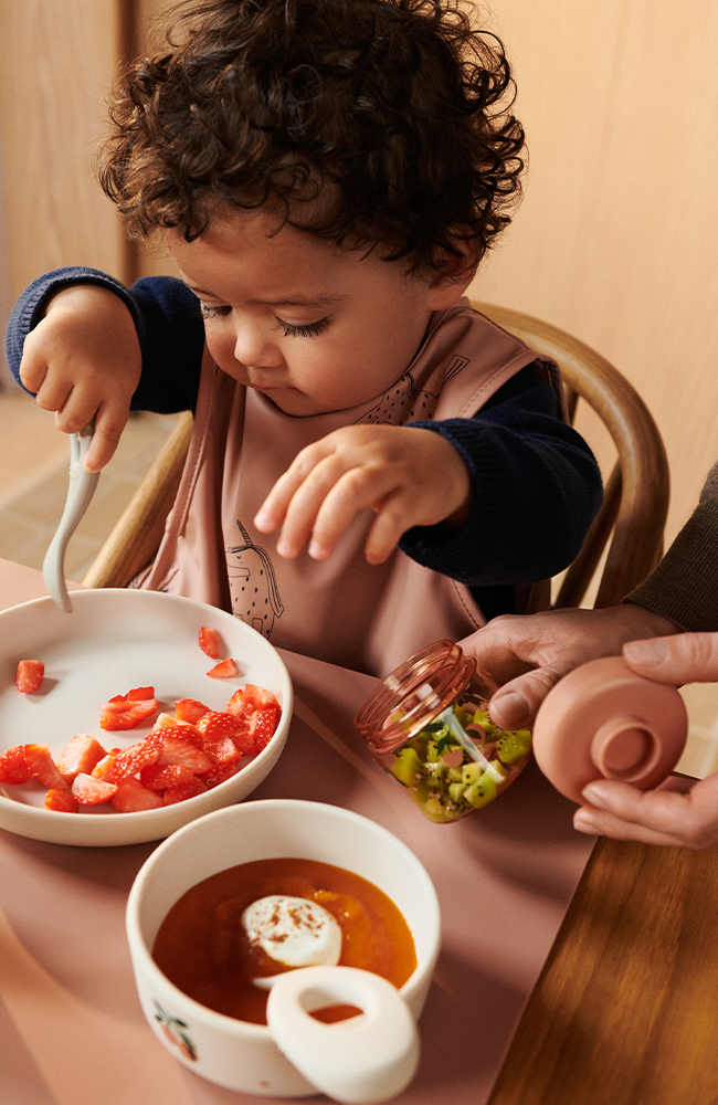 Dominique Baby Food Boxes 4-Pack - All together/Sandy