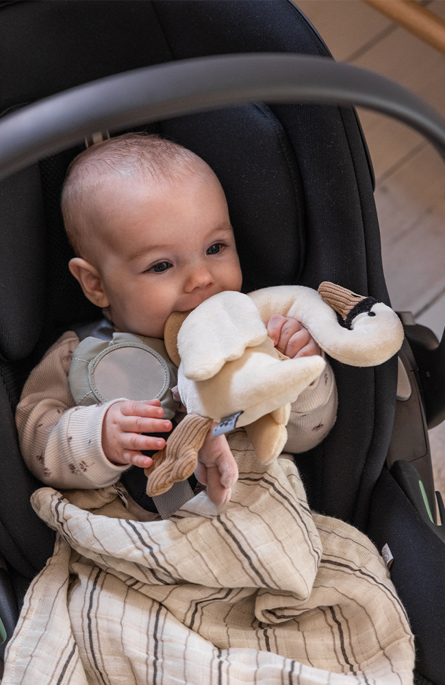 Activity Hanging Toy - Swan