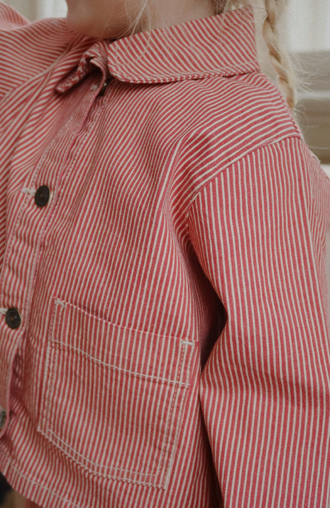 Jody Teddy Jacket - Dino Silhouette