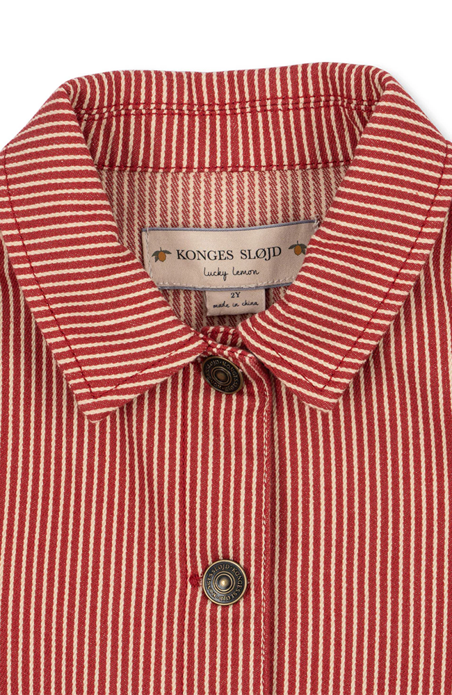 Jody Teddy Jacket - Dino Silhouette