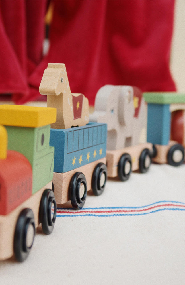 Wooden Animal Train - Multi