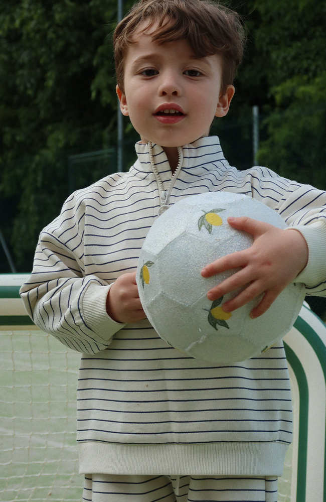 Lou Half Zip Sweatshirt - Flintstone Stripe