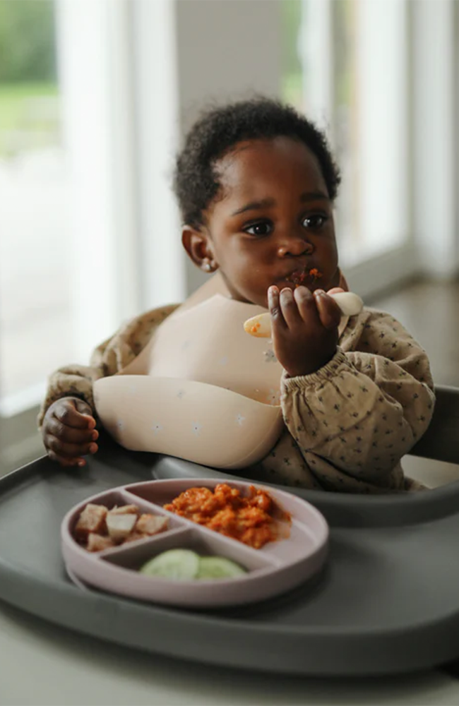 Silicone Divided Suction Plate - Blush