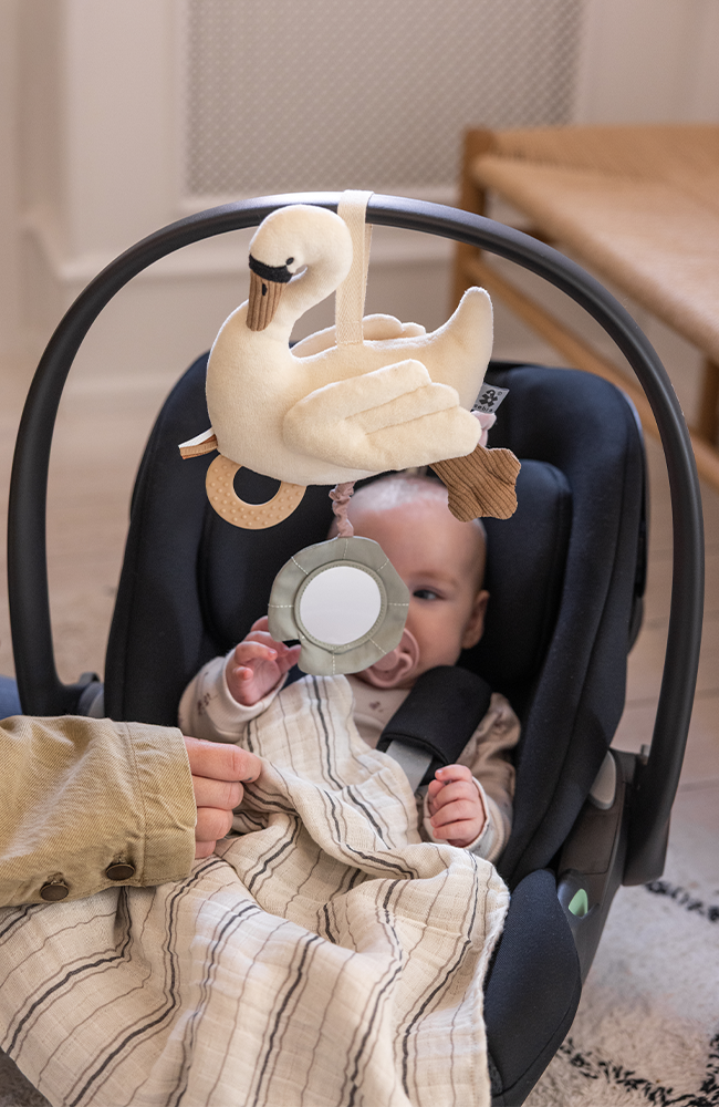 Activity Hanging Toy - Swan