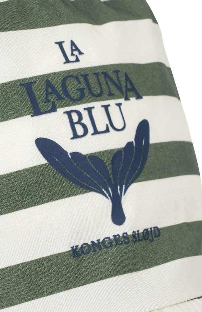 Asnou Swim Shorts - Stripe Verti Konges Slöjd Badkläder