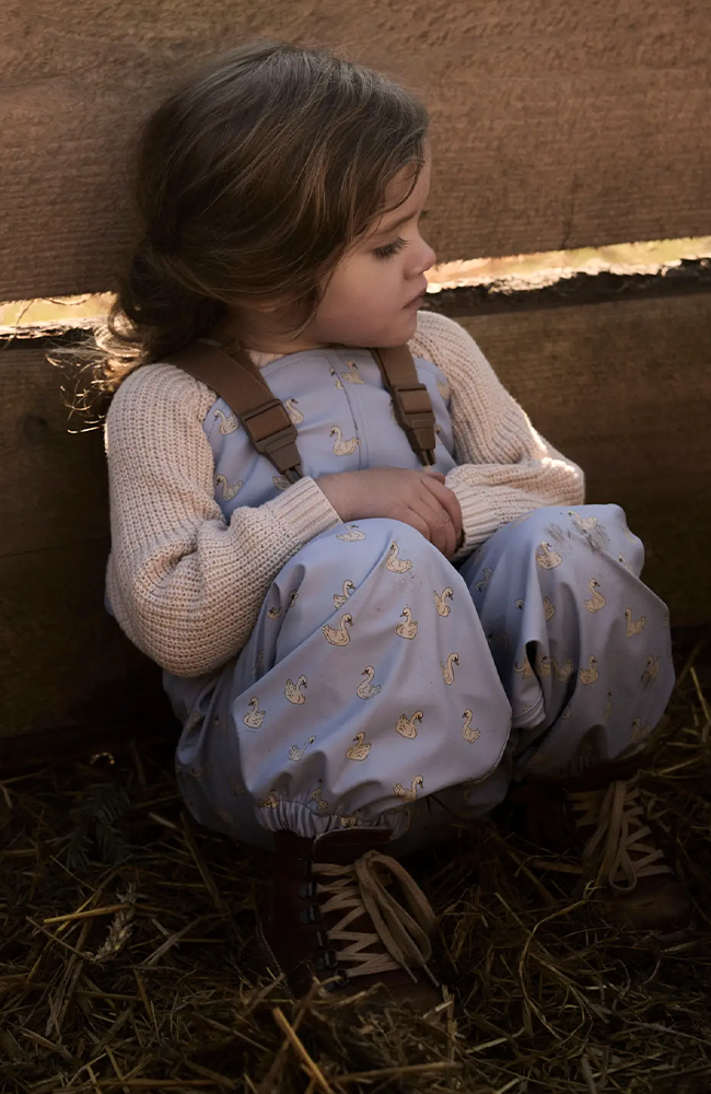 Ladry Rain Set - Zen Blue Swan