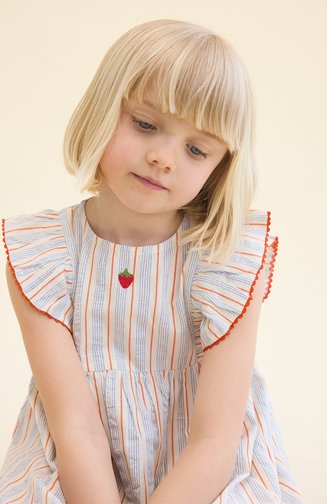 Robin Dress - Blue-tangerine Stripe