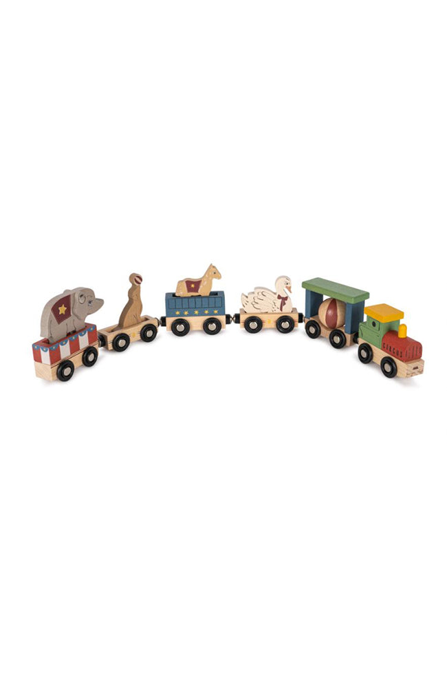 Wooden Animal Train - Multi