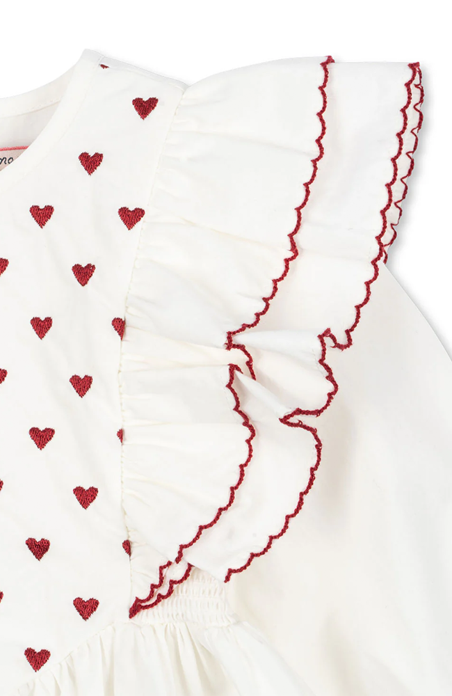 Jody Teddy Jacket - Dino Silhouette