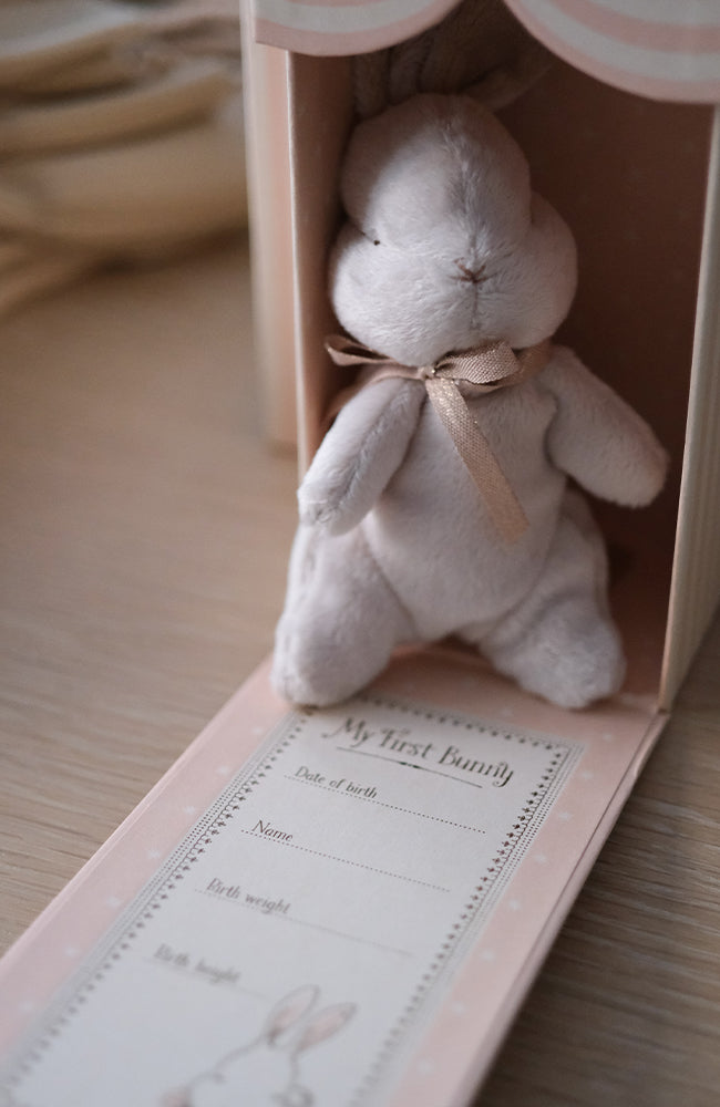 My first bunny - Dusty Rose Maileg Mjukdjur