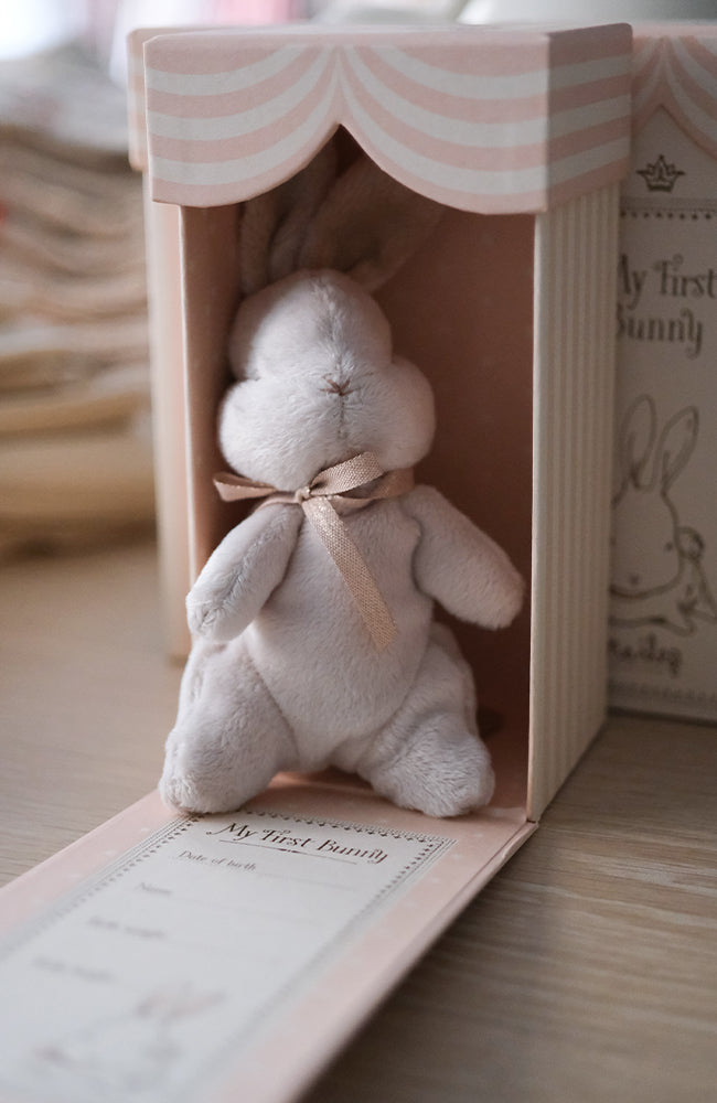 My first bunny - Dusty Rose Maileg Mjukdjur