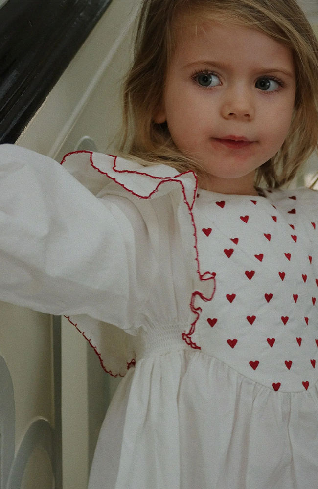 Jody Teddy Jacket - Dino Silhouette