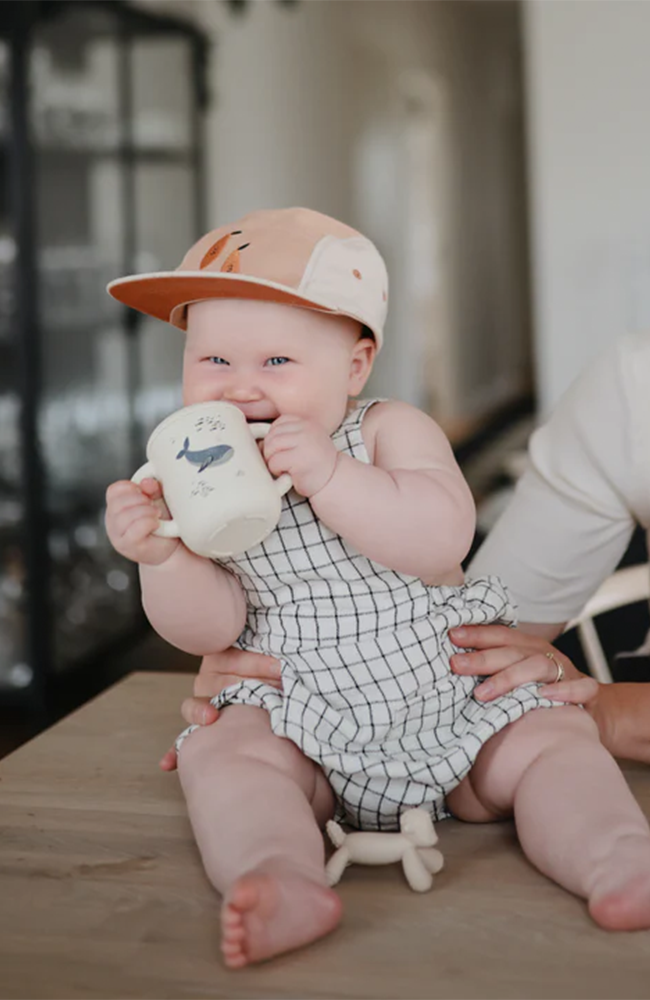 Silicone Training Cup + Straw - Whales