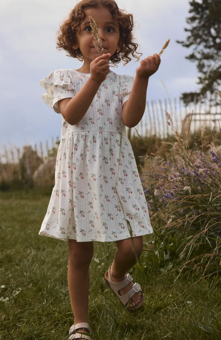 Rachello SS Dress - Coconut Milk Strawberry