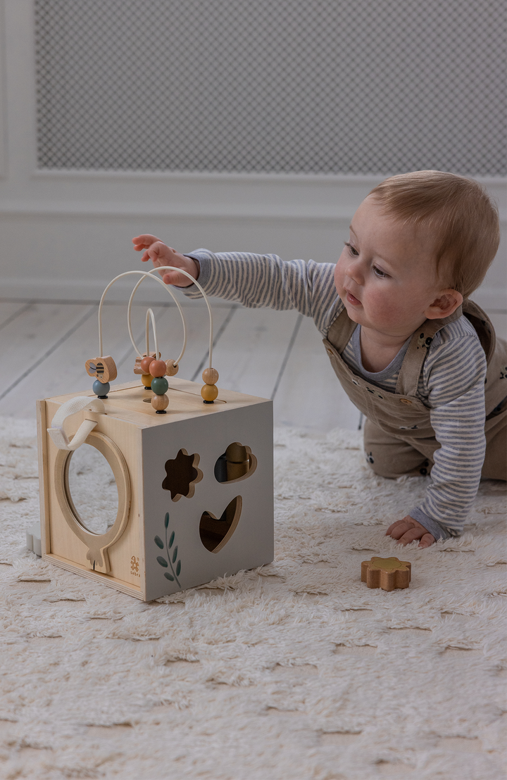 Motor Skills Play Box Wooden