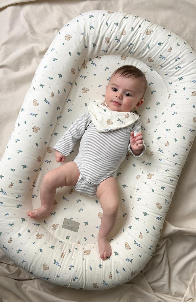 Baby Nest - Blueberries