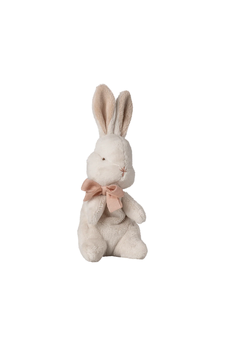 My first bunny - Powder
