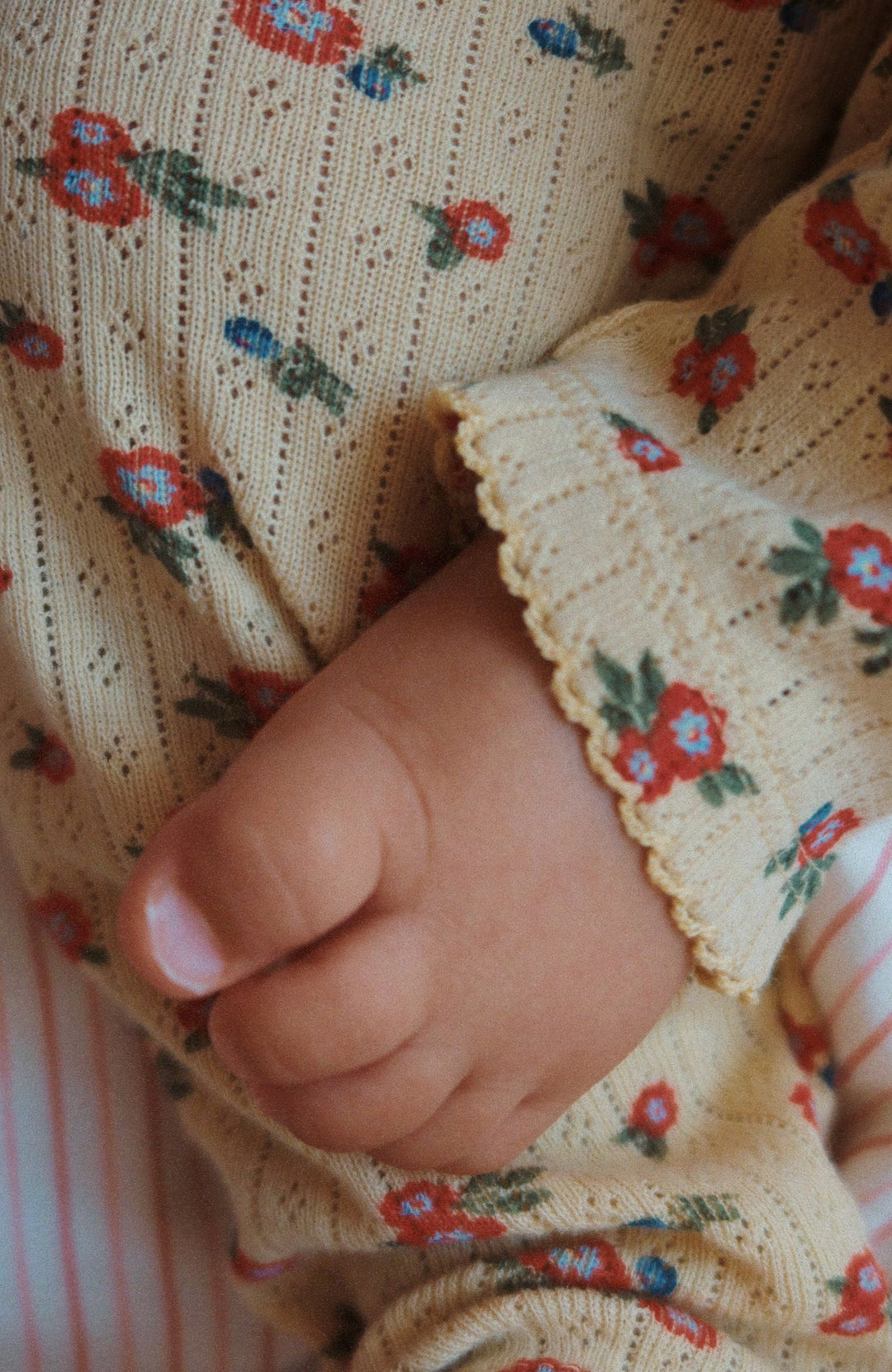 Minnie Pants - Carmona - 6