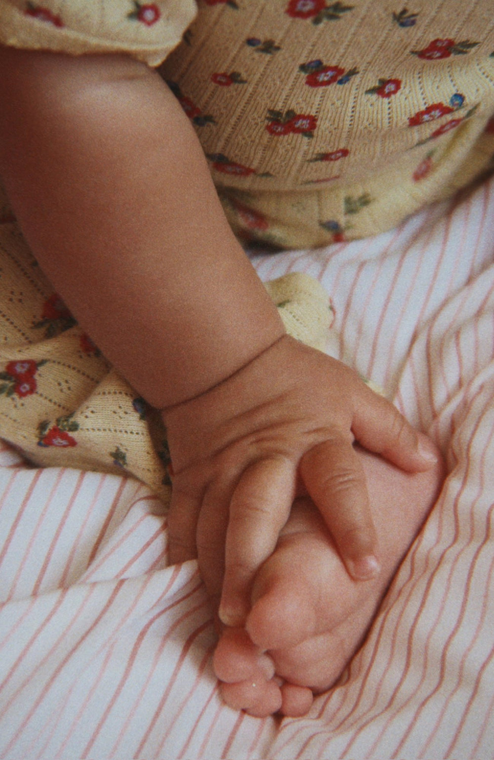 Minnie Pants - Carmona - 7