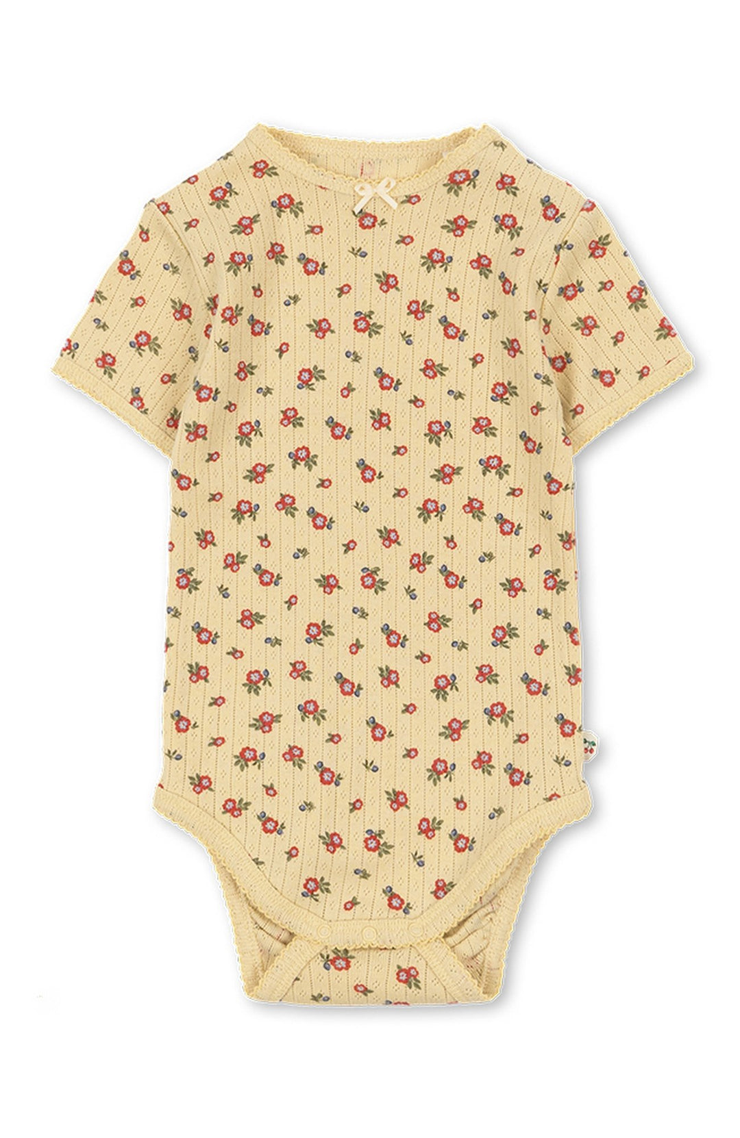 Minnie Body - Carmona