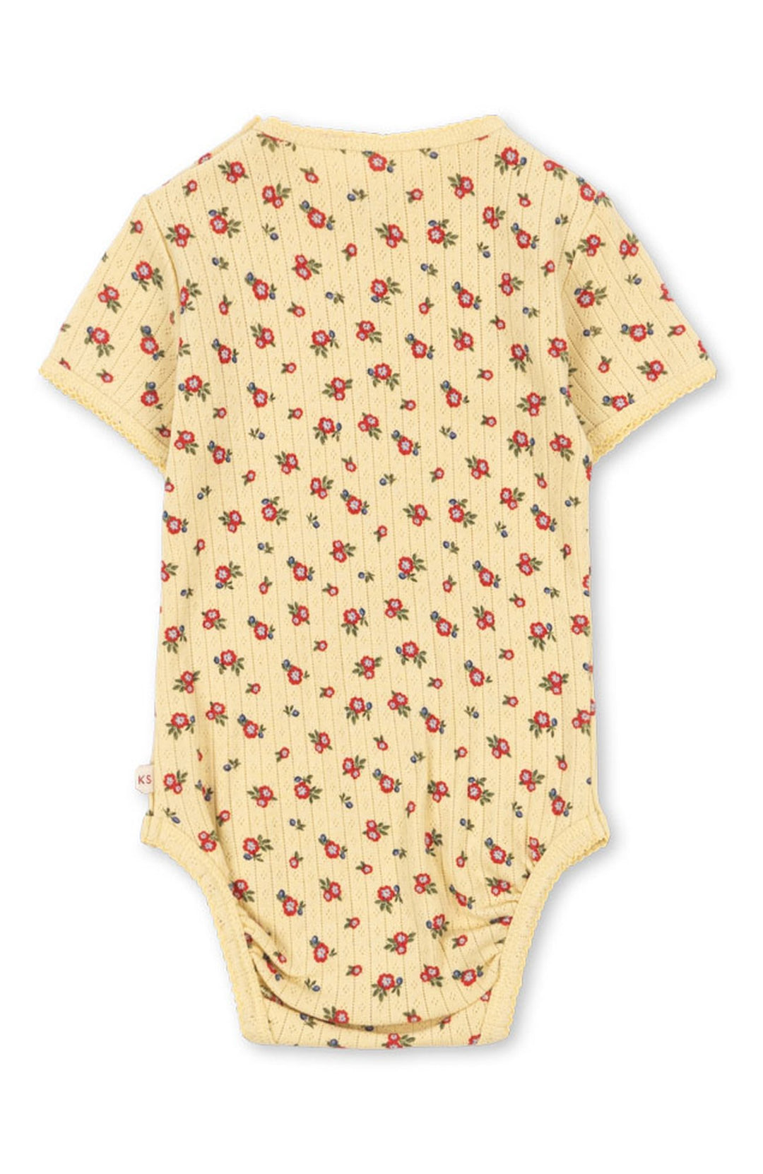 Minnie Body - Carmona - 4