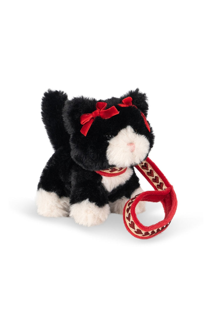 Pet Kitty - Black Beauty