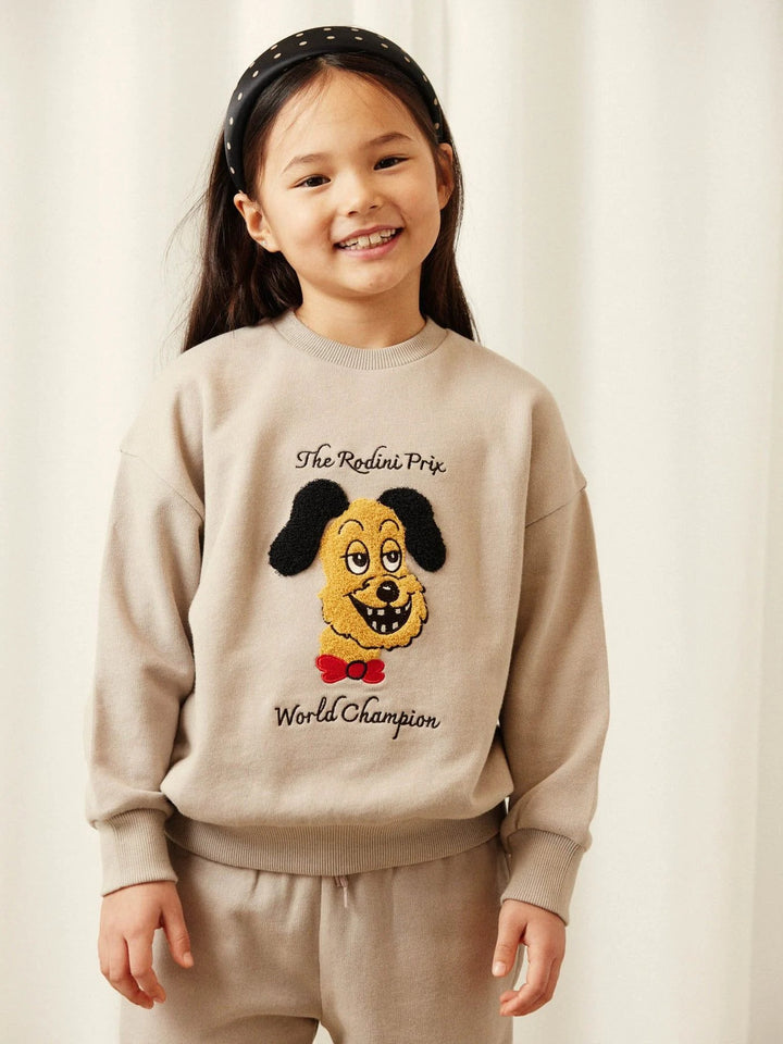 Rodini Prix Chenille Sweatshirt i grått från Mini Rodini