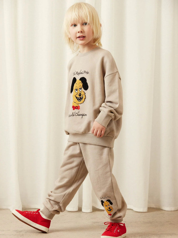 Rodini Prix Chenille Sweatshirt i grått från Mini Rodini