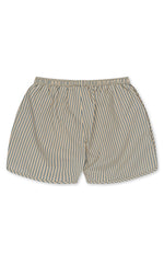Asnou Swim Shorts - Stripe Bluie