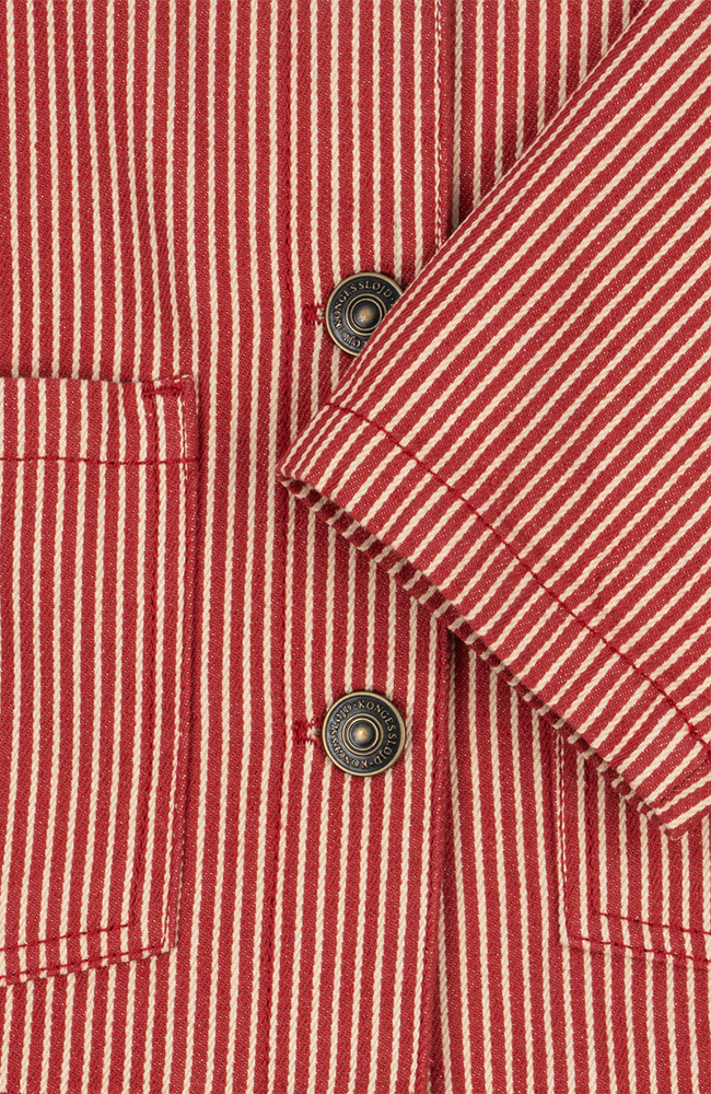 Jody Teddy Jacket - Dino Silhouette