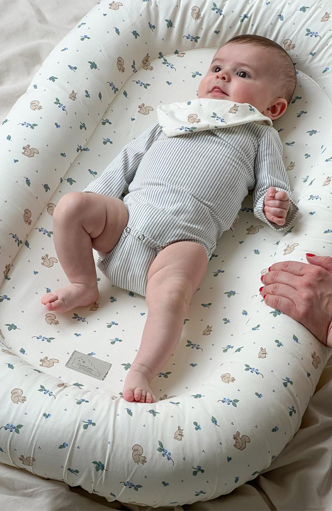 Baby Nest - Blueberries