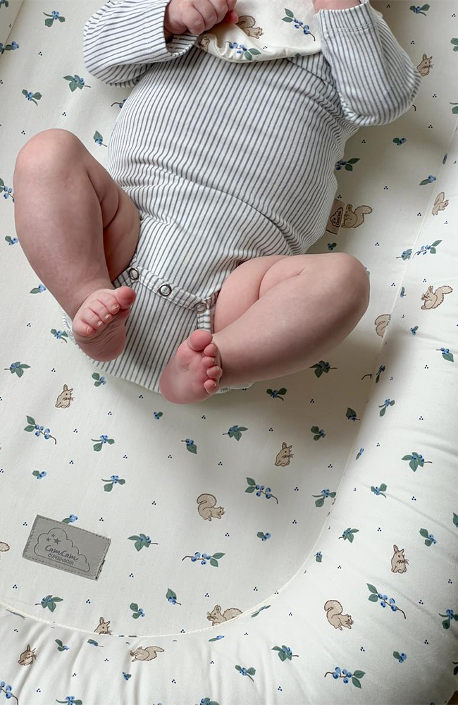 Baby Nest - Blueberries