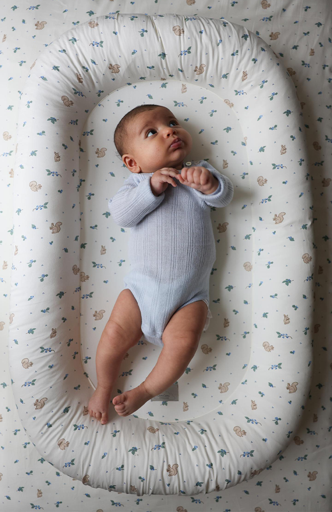 Baby Nest - Blueberries