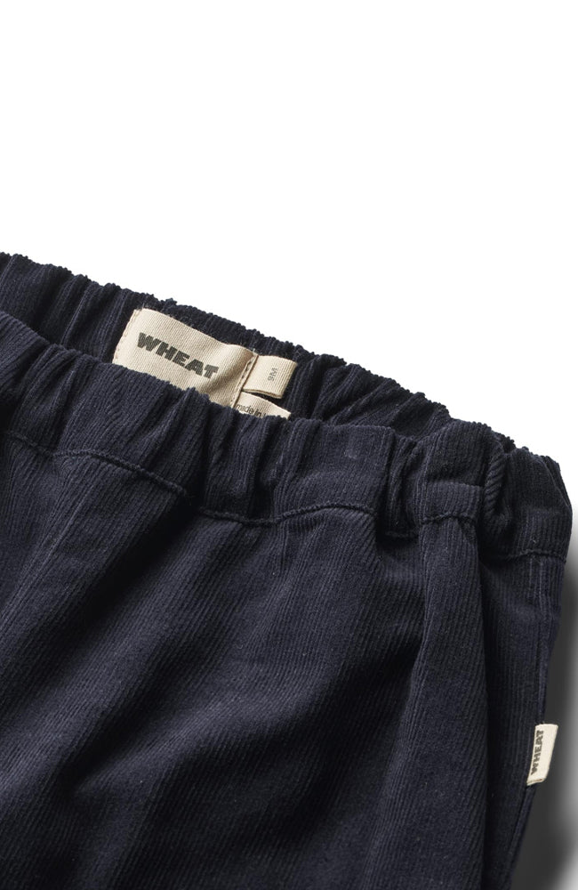 Trousers Lined Aiden - Navy