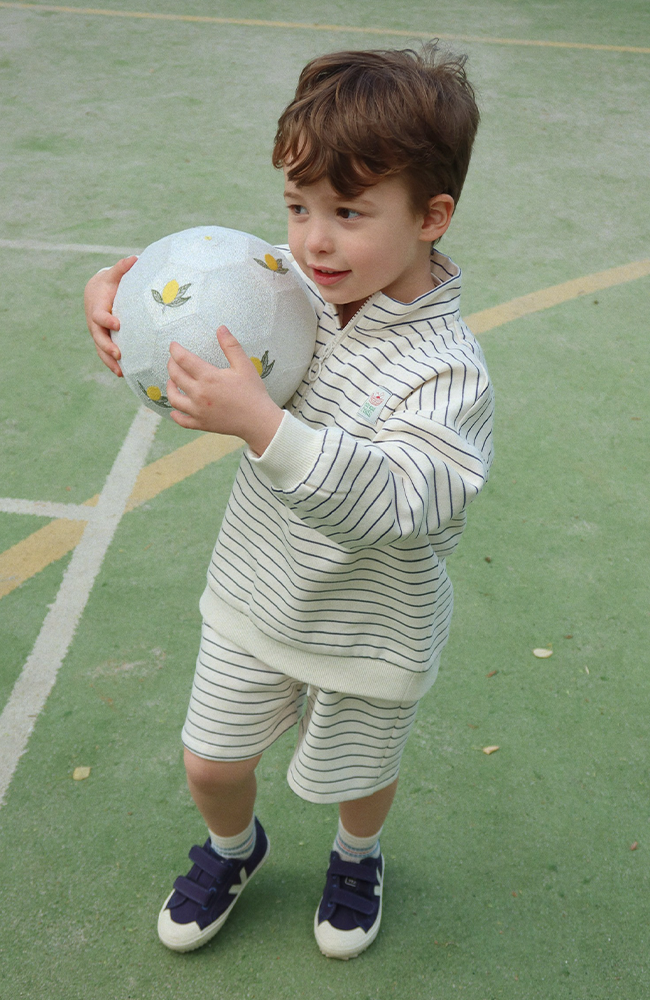 Lou Half Zip Sweatshirt - Flintstone Stripe