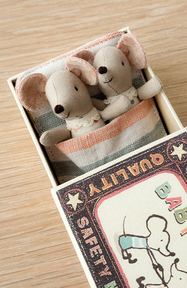 Twins Baby mice in matchbox