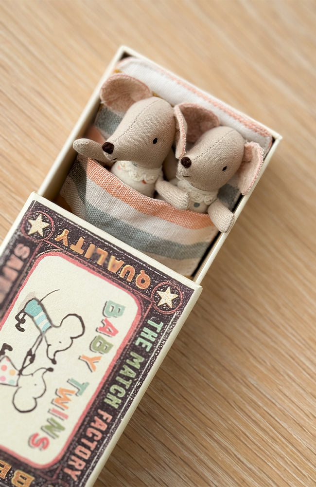 Twins Baby mice in matchbox